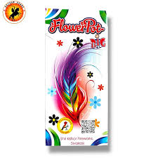 FLOWER POT BIG (10 PCS)